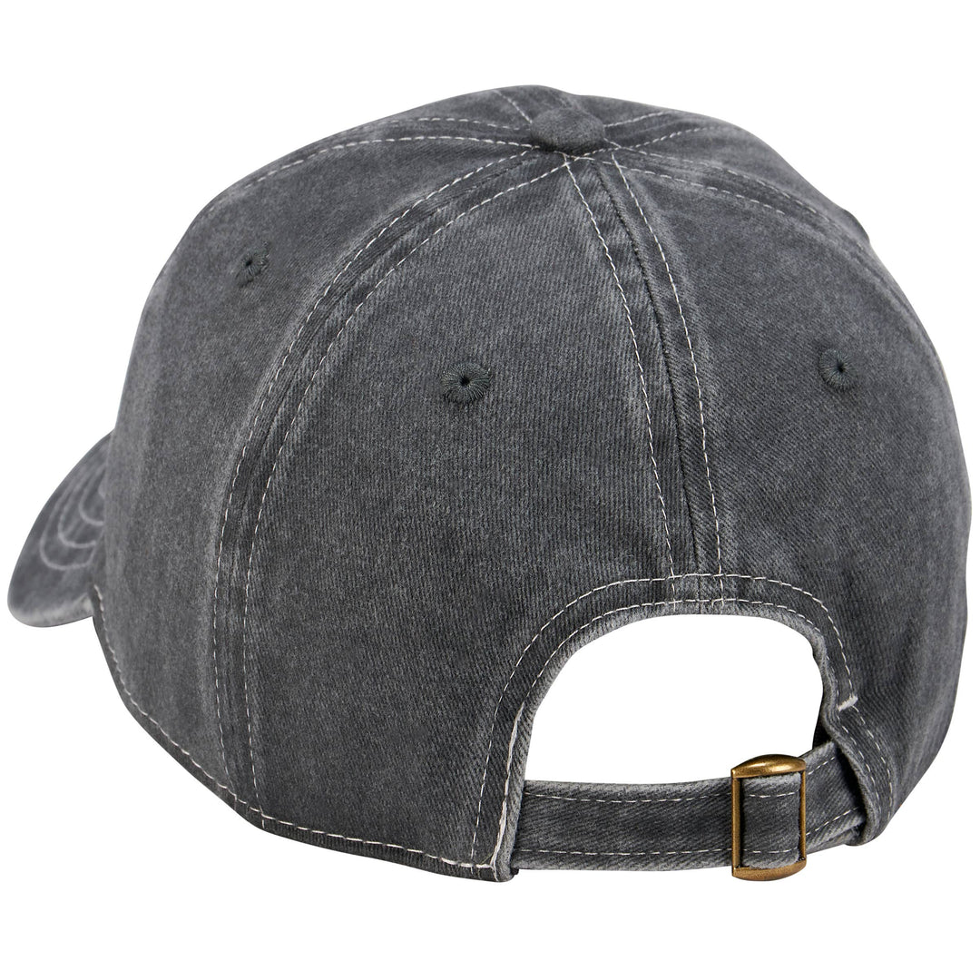 The Dog's Favorite Baseball Cap