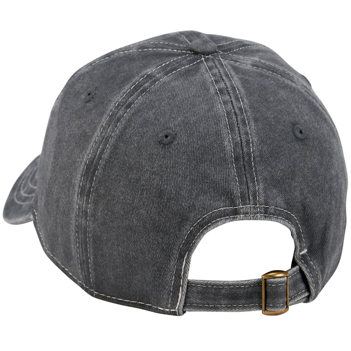 The Dog's Favorite Baseball Cap