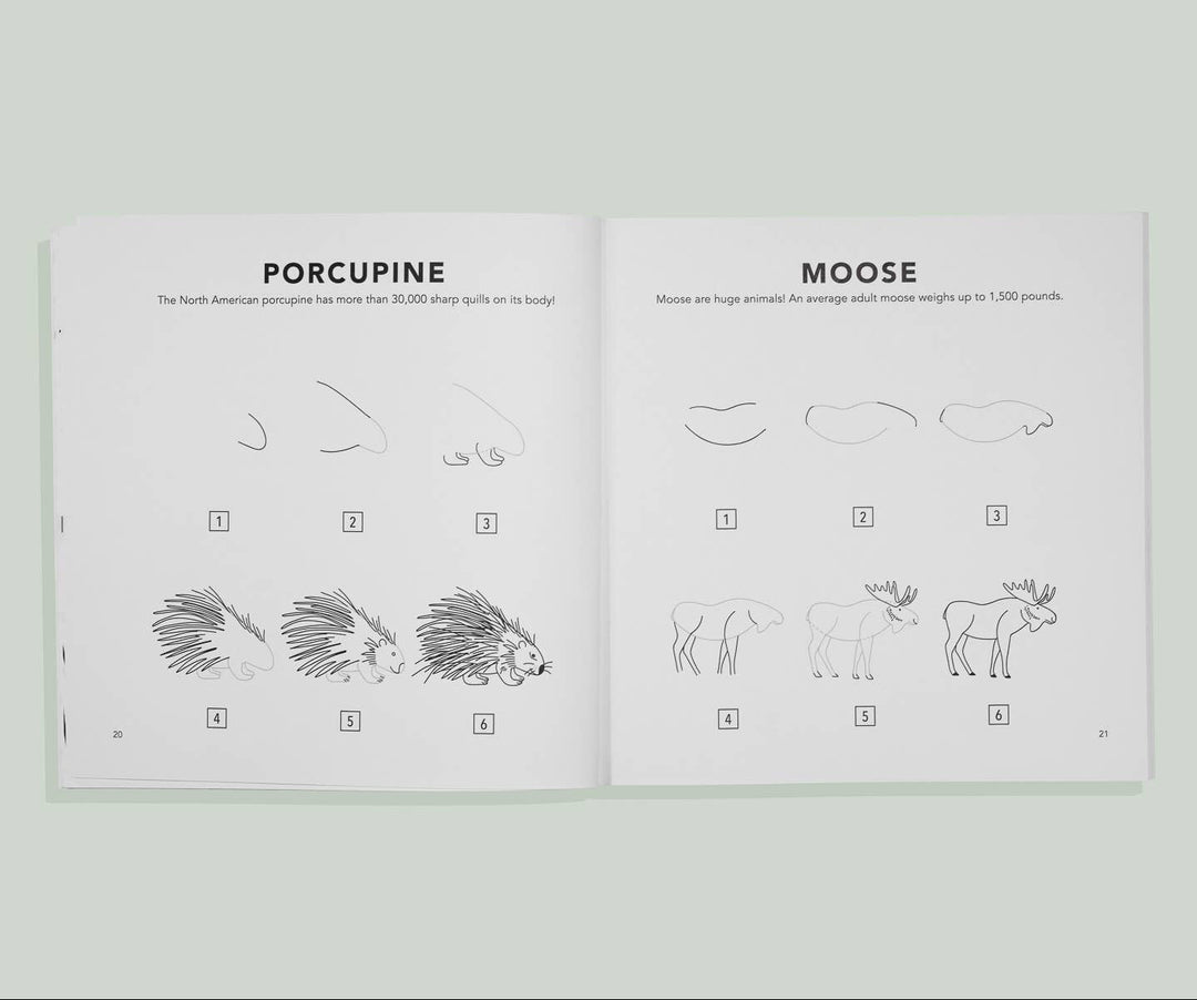 Mushrooms & Woodland Creatures: Kids How to Draw Book