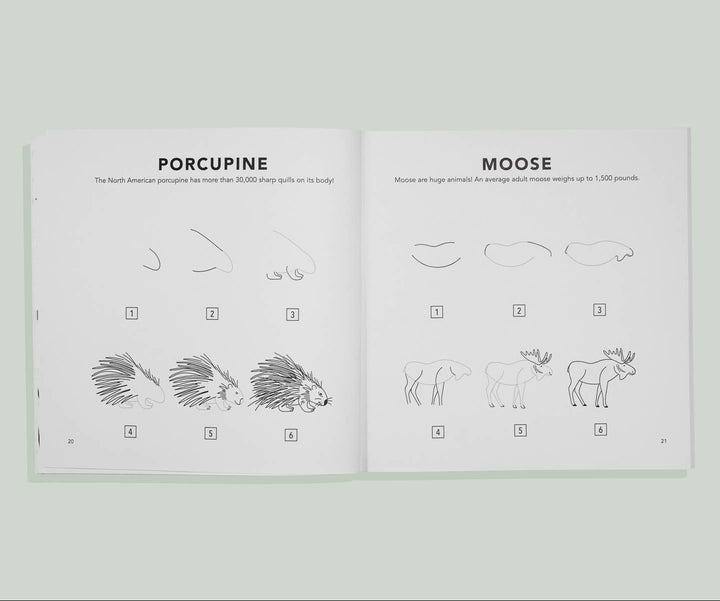 Mushrooms & Woodland Creatures: Kids How to Draw Book