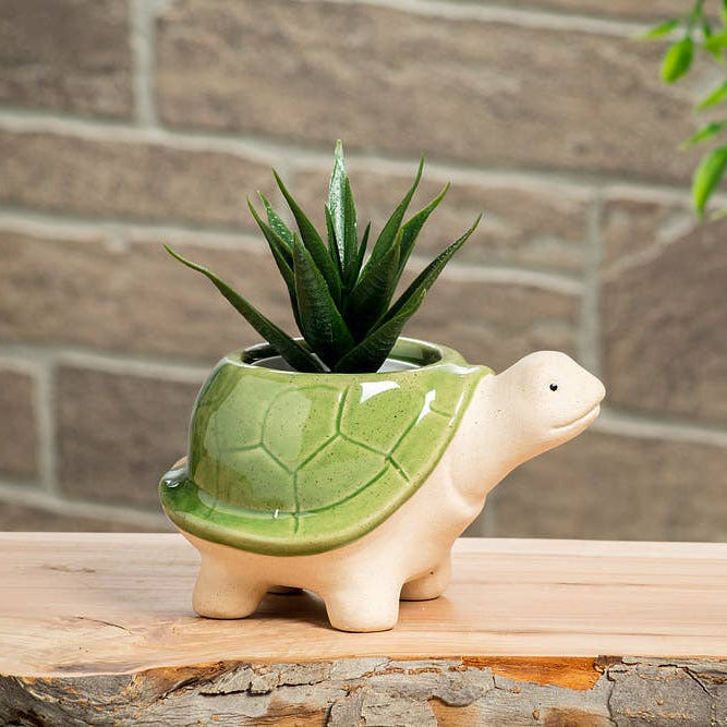 Small Turtle Planter