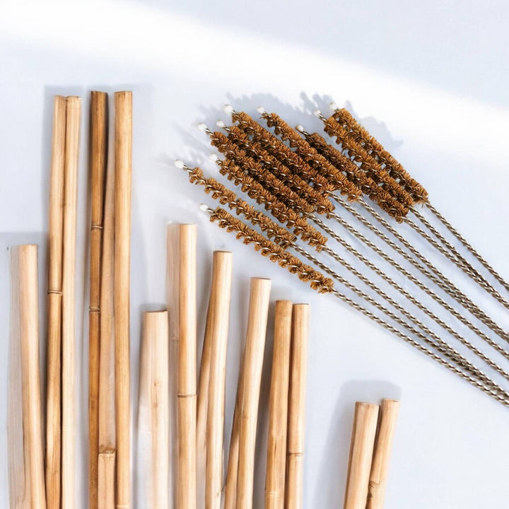 Coconut Fiber Plastic Free Straw Cleaner
