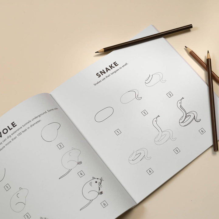 Mushrooms & Woodland Creatures: Kids How to Draw Book