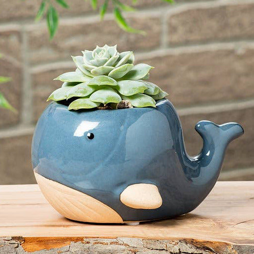 Lg Blue Whale Planter-3"H-878