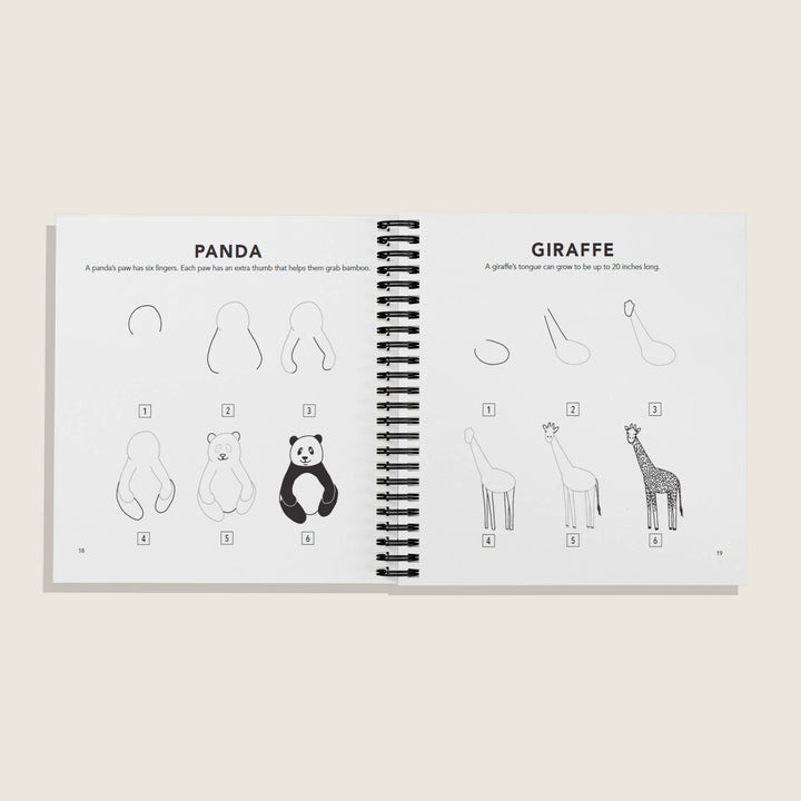 All the Animals: How to Draw Books for Kids (Spiral)