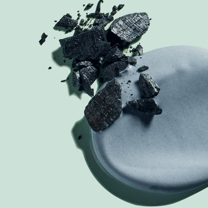 Davids Travel Size Toothpaste  /  Charcoal+Peppermint