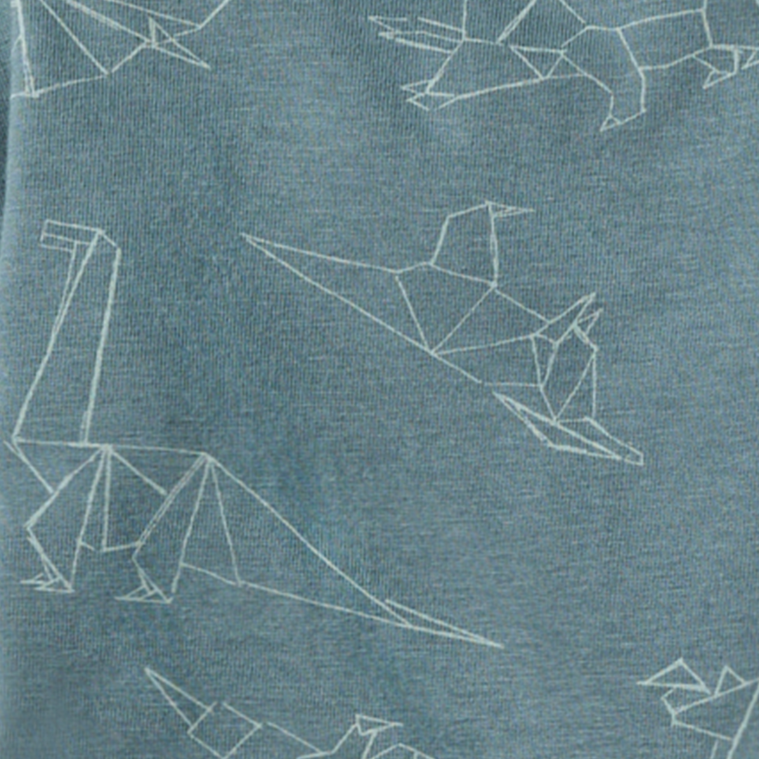 Origami Dinos Baby Boy 2 Pack Romper Set