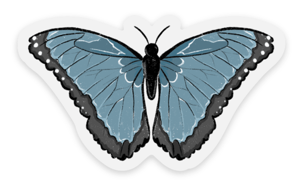 Clear Common Blue Morpho Butterfly Sticker, 2.5x1.5in