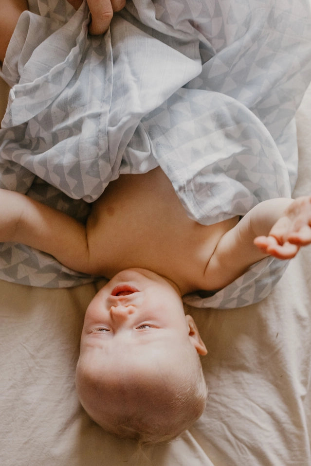 Blue Mountains Swaddle Baby Blanket