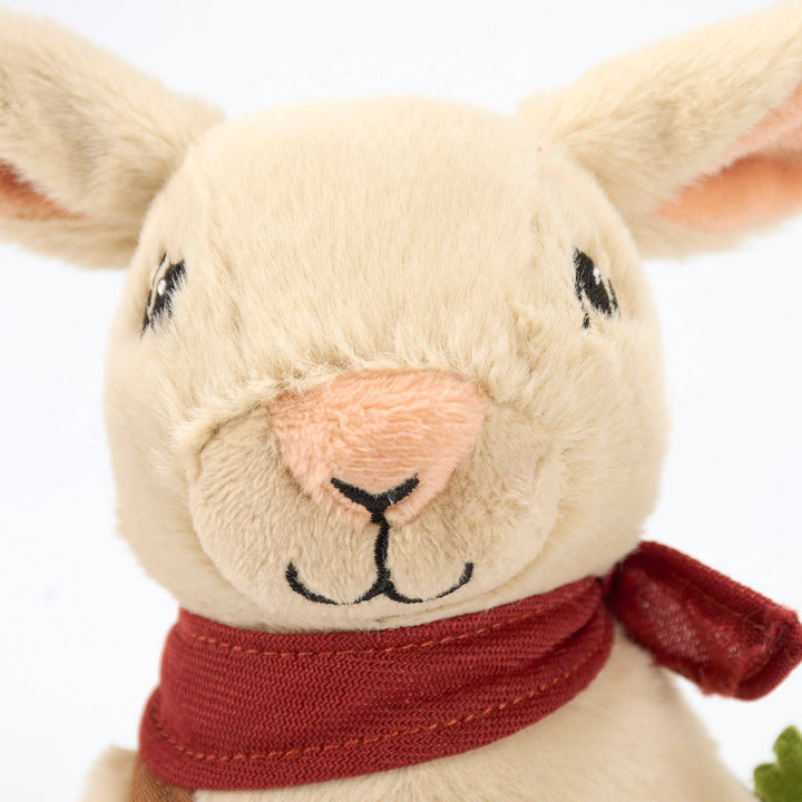 Bunny Rabbit Softie