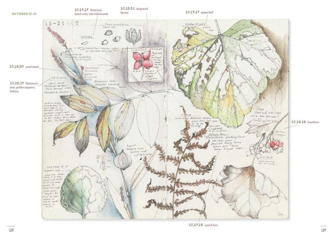 A Perpetual Journal Practice