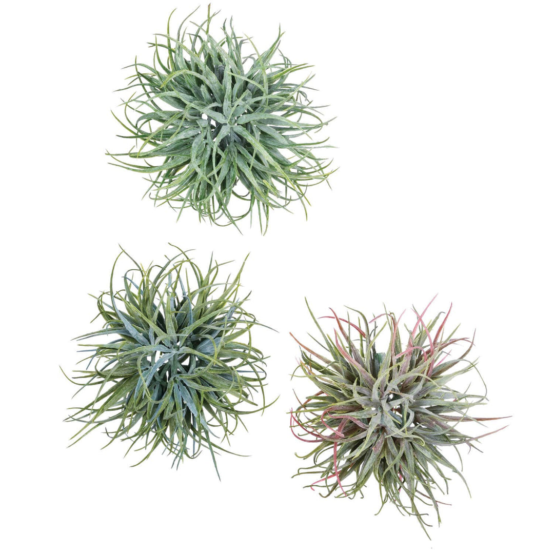Air Grass Orb Assortment of 3