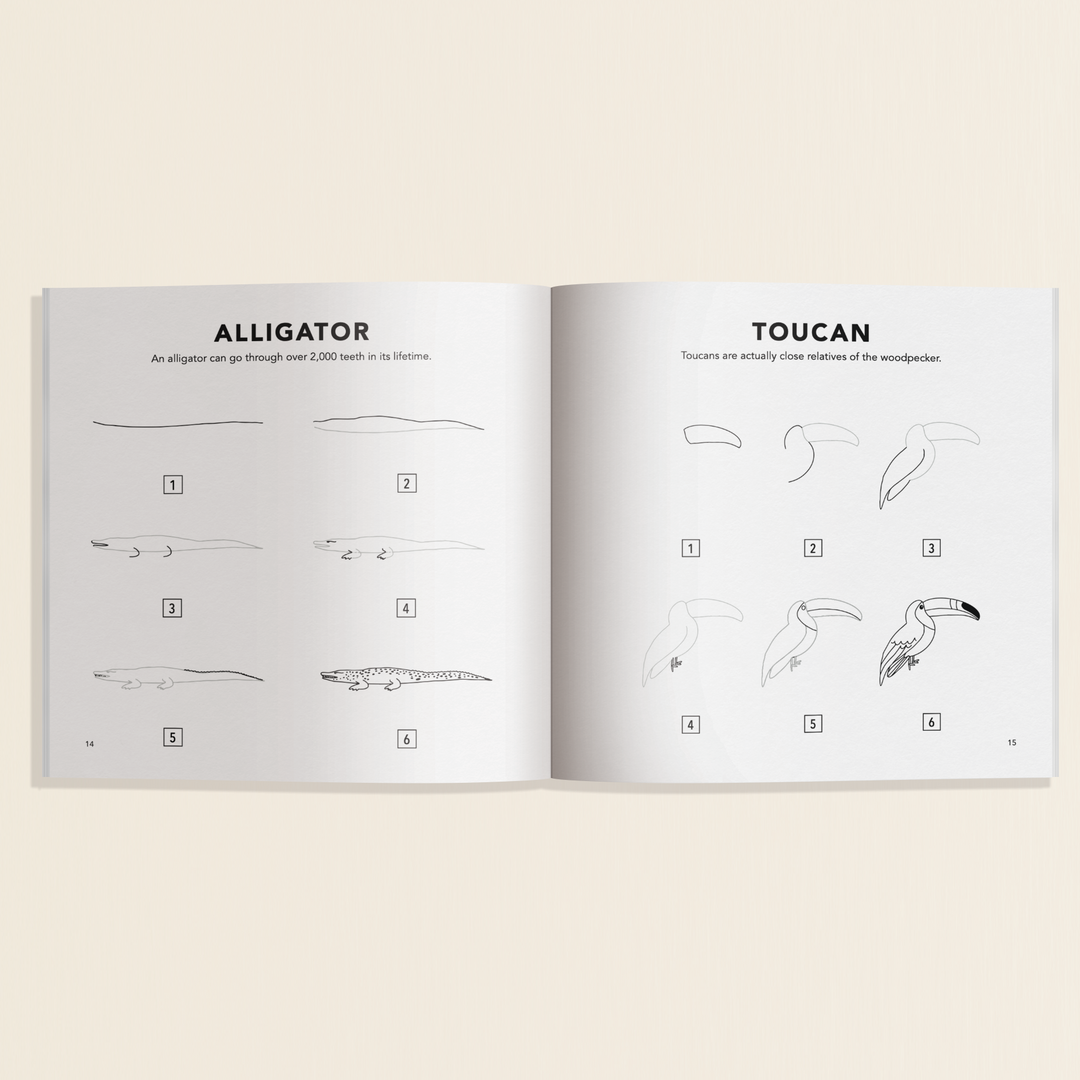 All The Animals: A How to Draw Travel Size Art Book for Kids
