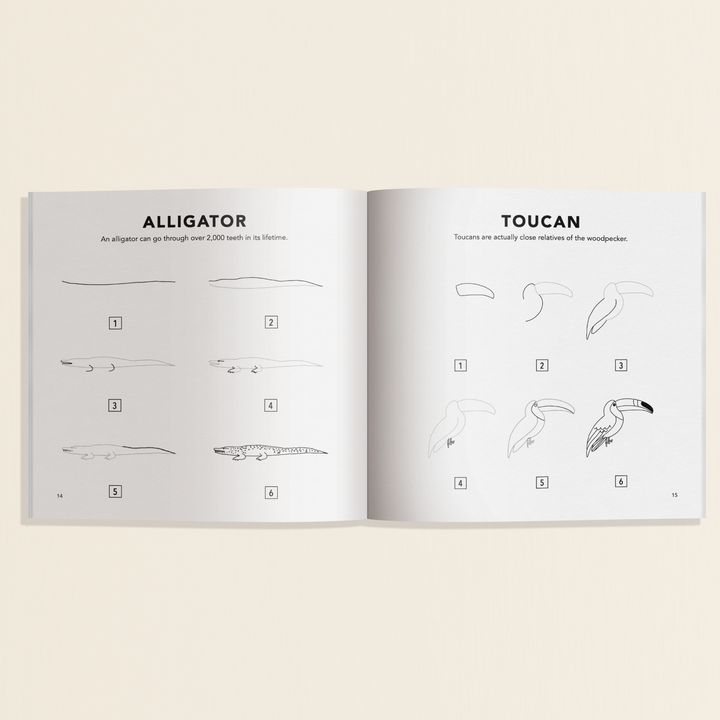 All The Animals: A How to Draw Travel Size Art Book for Kids