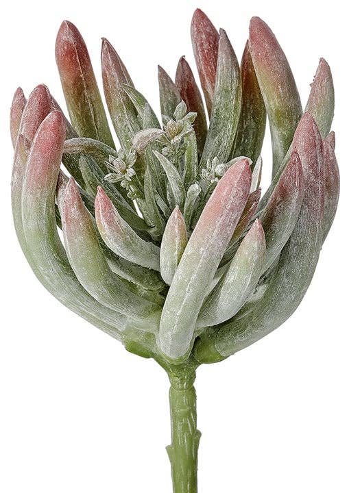 Artificial Finger Succulent Plant Pick