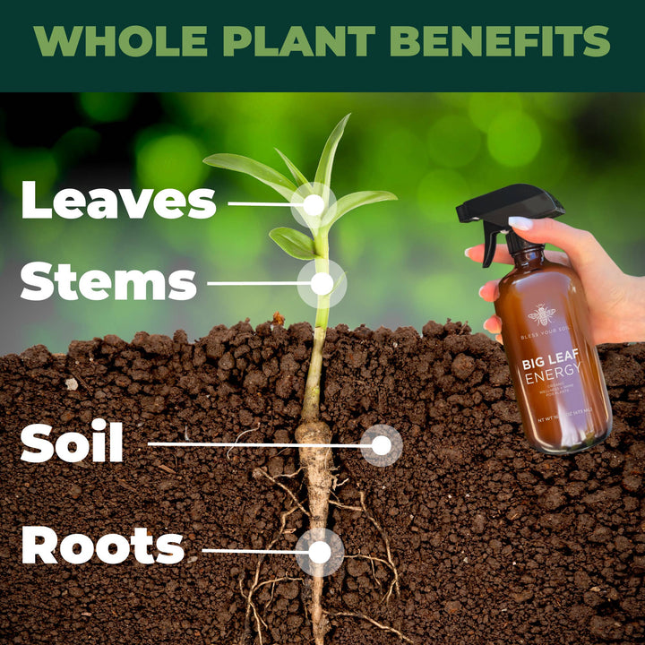 Big Leaf Energy® Organic Neem Spray