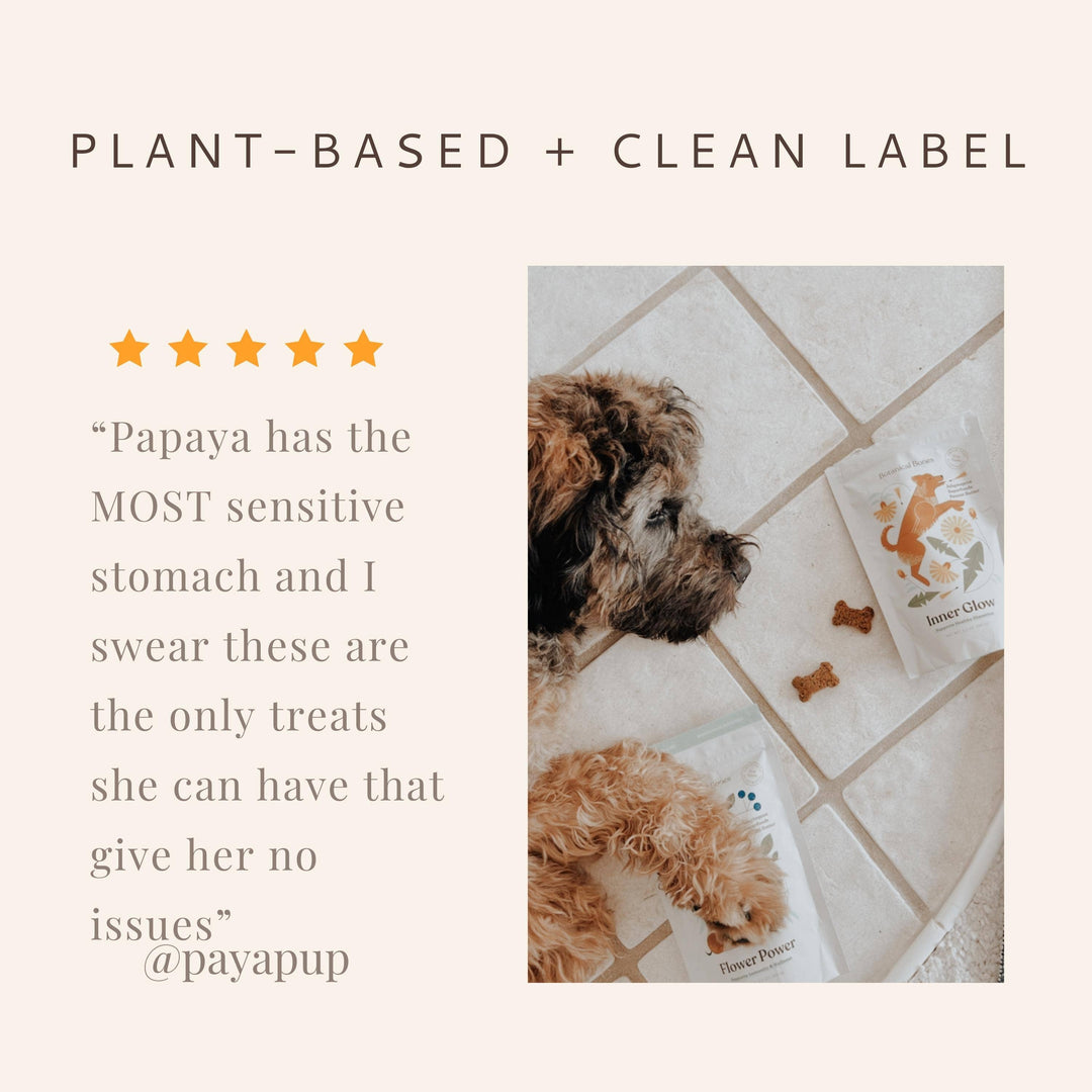 Flower Power All Natural, Organic Dog Treat Cookies