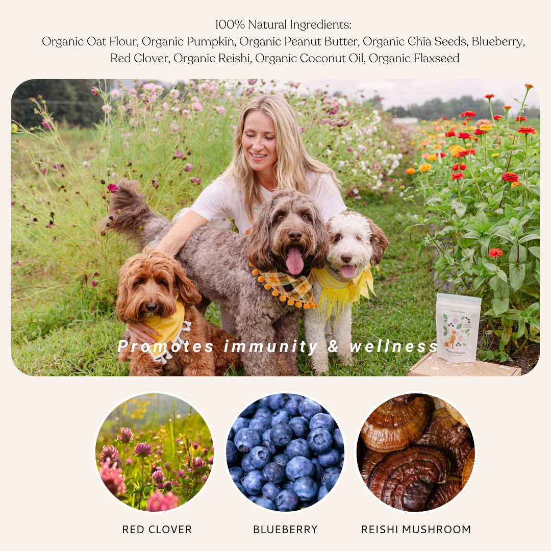 Flower Power All Natural, Organic Dog Treat Cookies