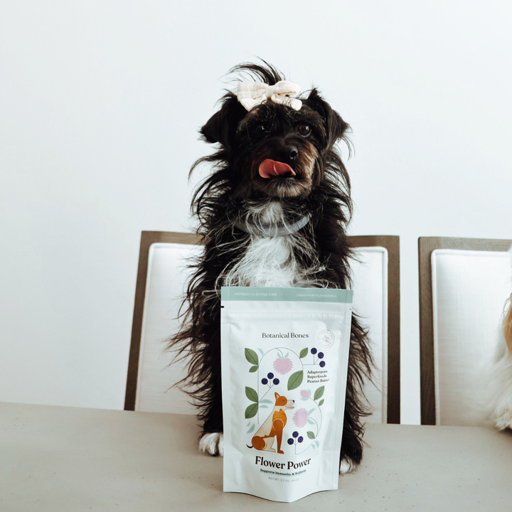 Flower Power All Natural, Organic Dog Treat Cookies