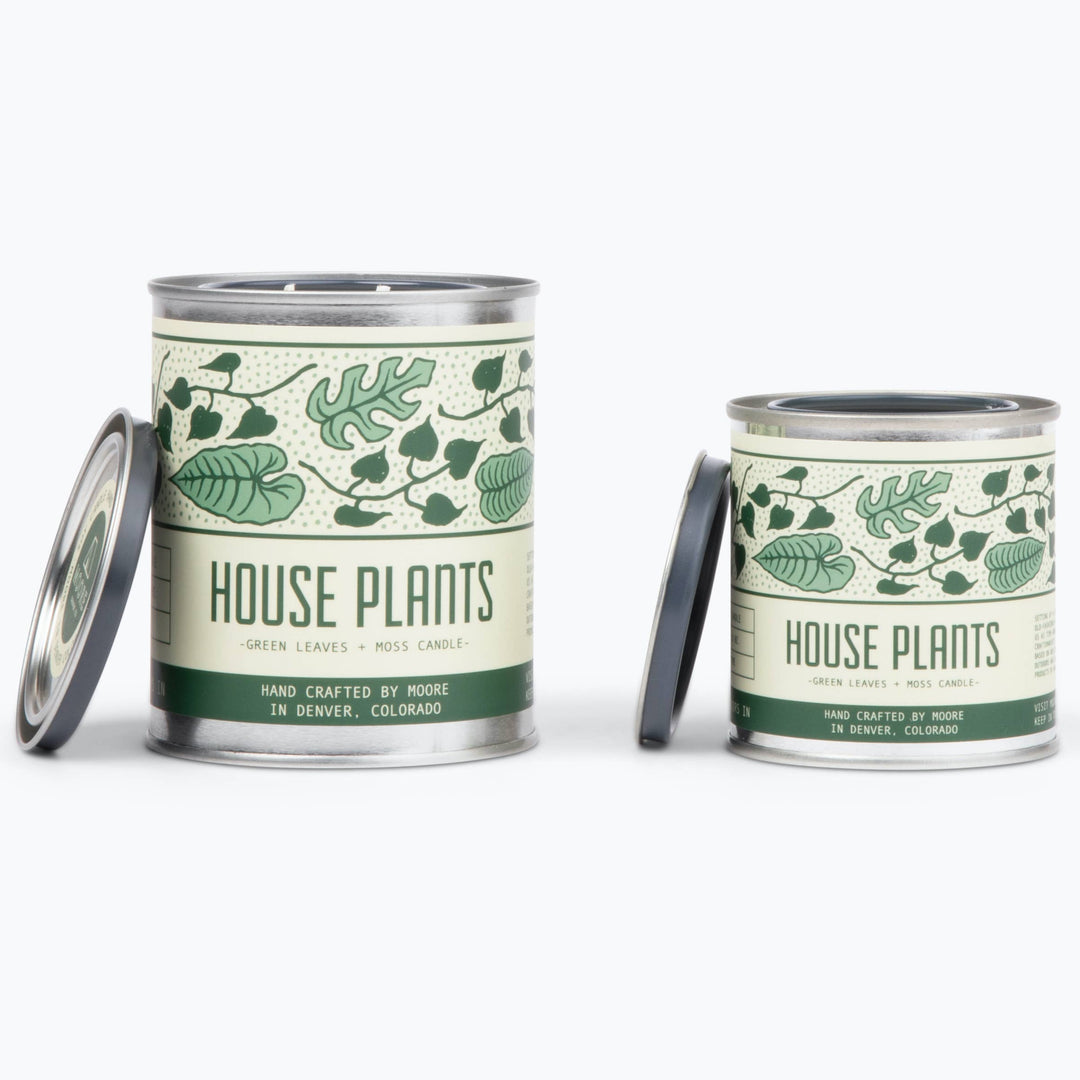 House Plant Candle: Green Leaves & Moss Scent