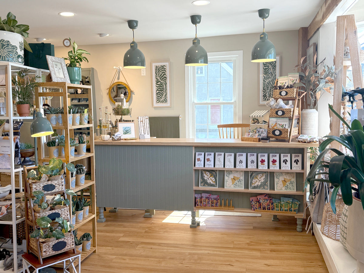 Visit our Poppy & Vale store in North Conway, NH