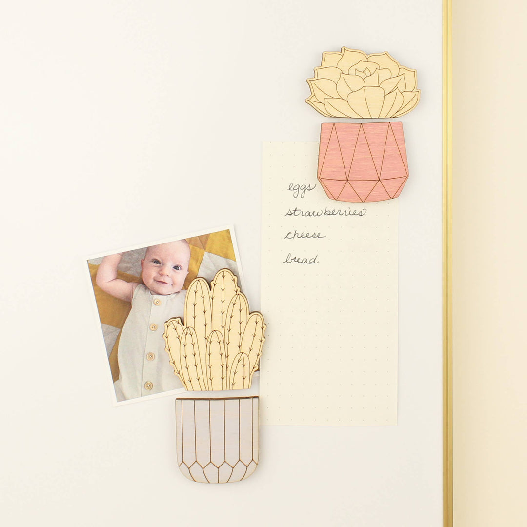Lola Succulent Wood House Plant Magnets Plant Lover Gift