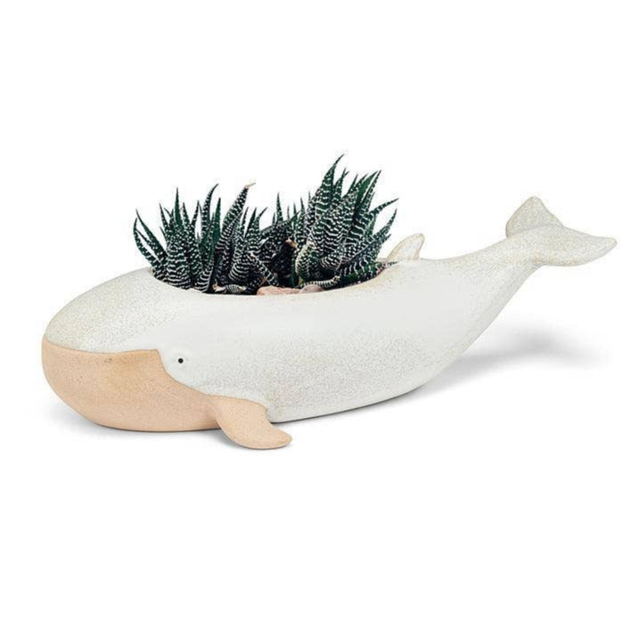 Long Whale Planter