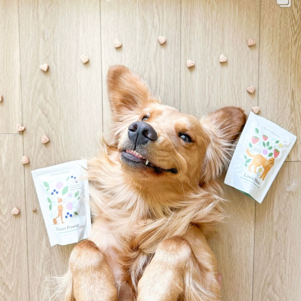 Love Bites Organic Training Treats For All Dogs