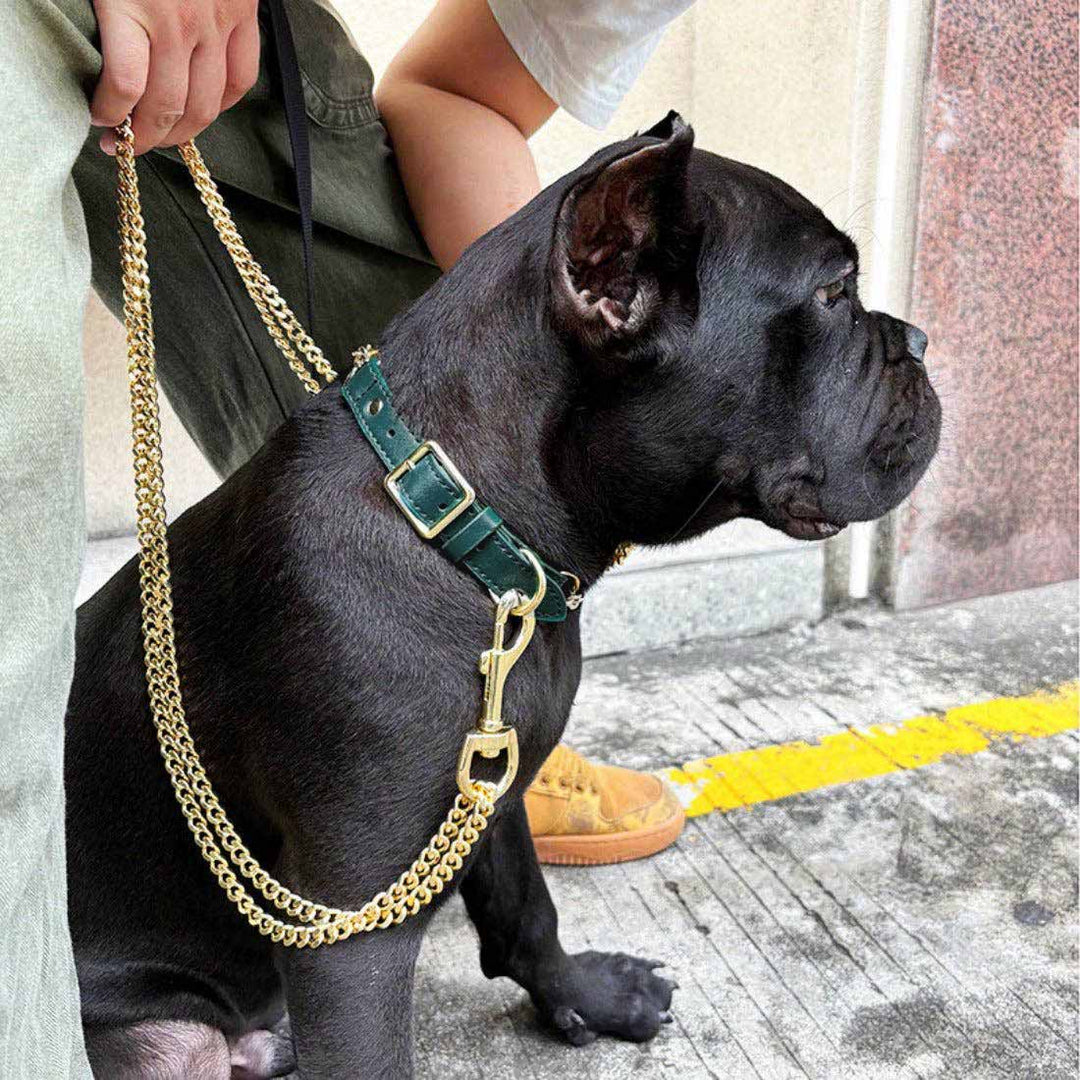Metal Chain Dog Leash and Collar