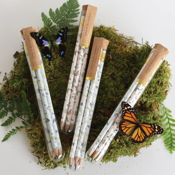 Monarchs Pencil Terrarium, Set of 5 Pencils