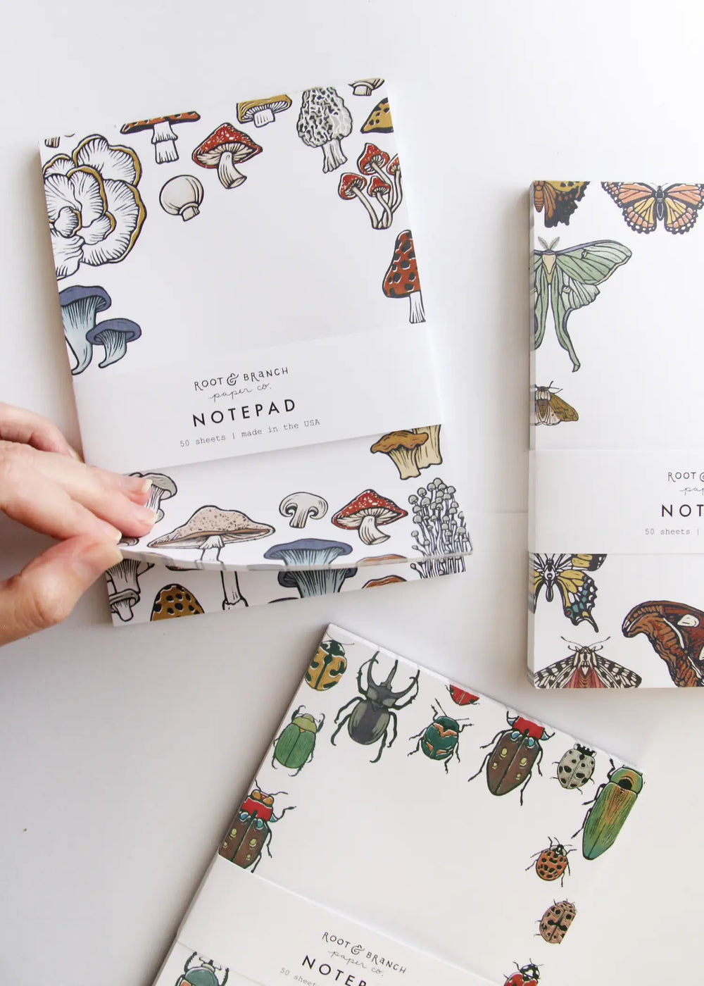 Beetles Notepad by Root & Branch Paper Co paper goods botanical gifts