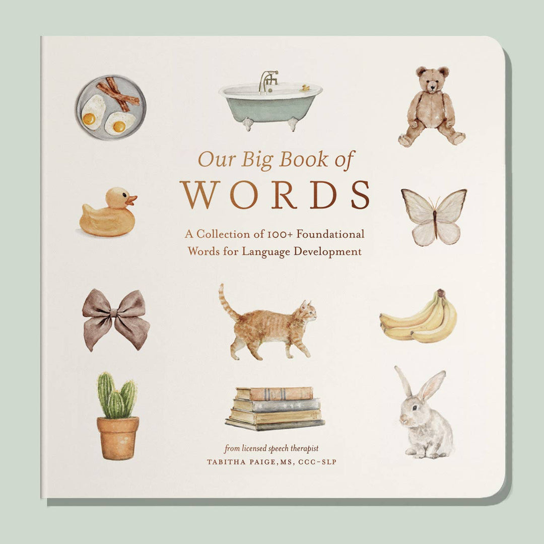 Our Big Book of First Words Baby Board Book