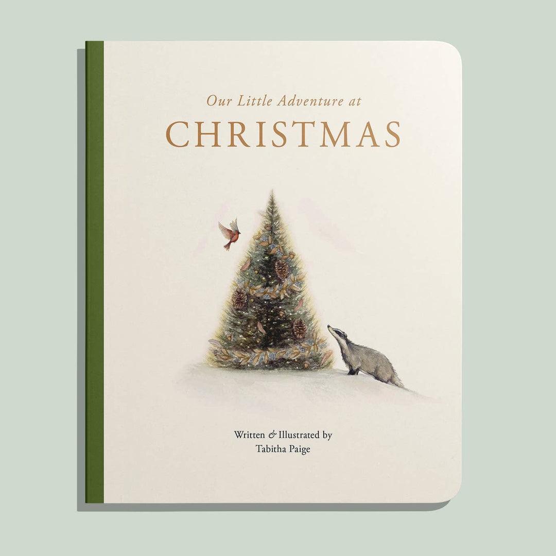 Our Little Adventure at Christmas (Baby's first Christmas)