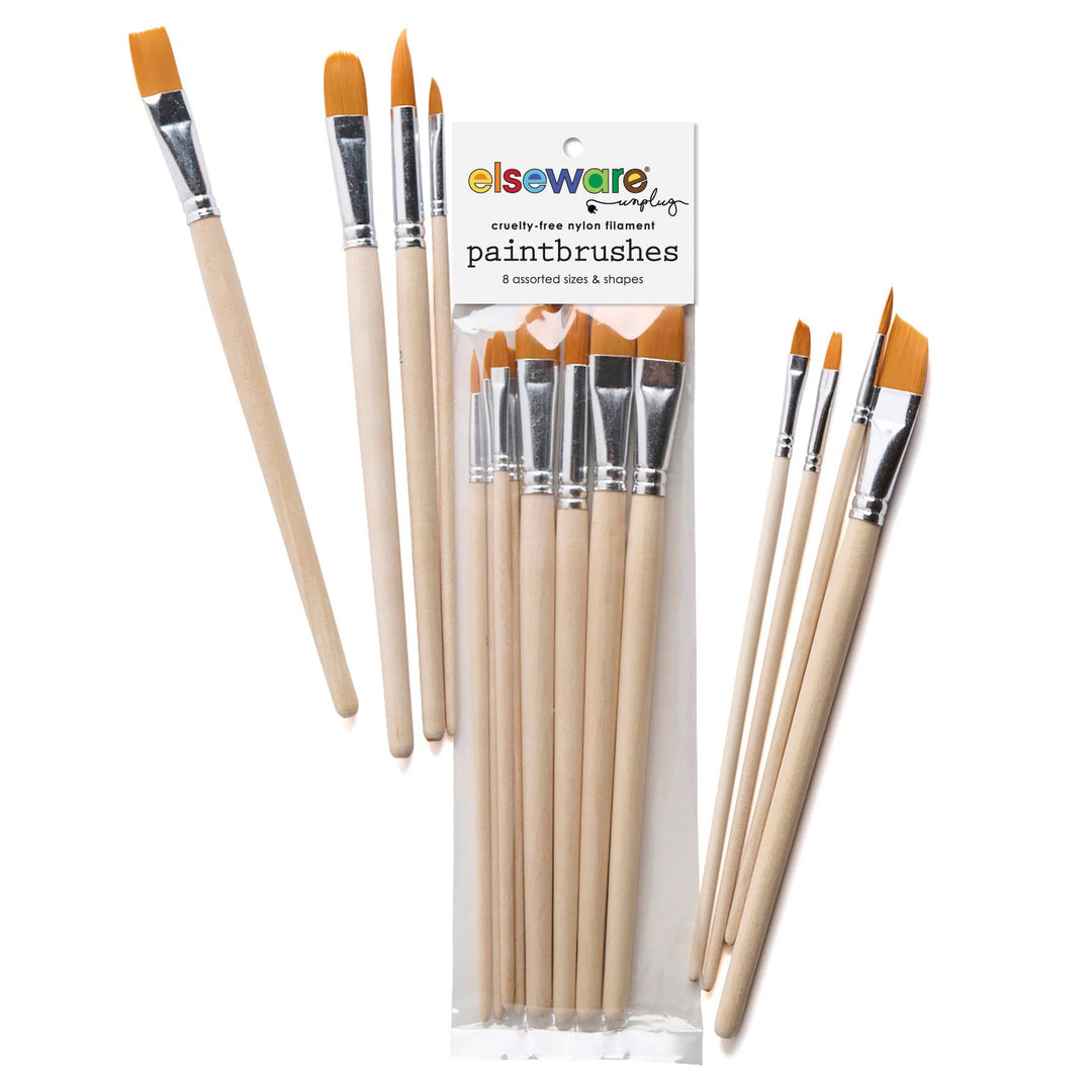 Paintbrush Set in Clear Bag