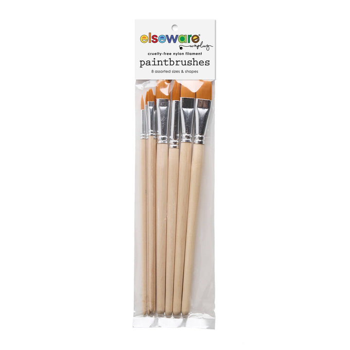 Paintbrush Set in Clear Bag