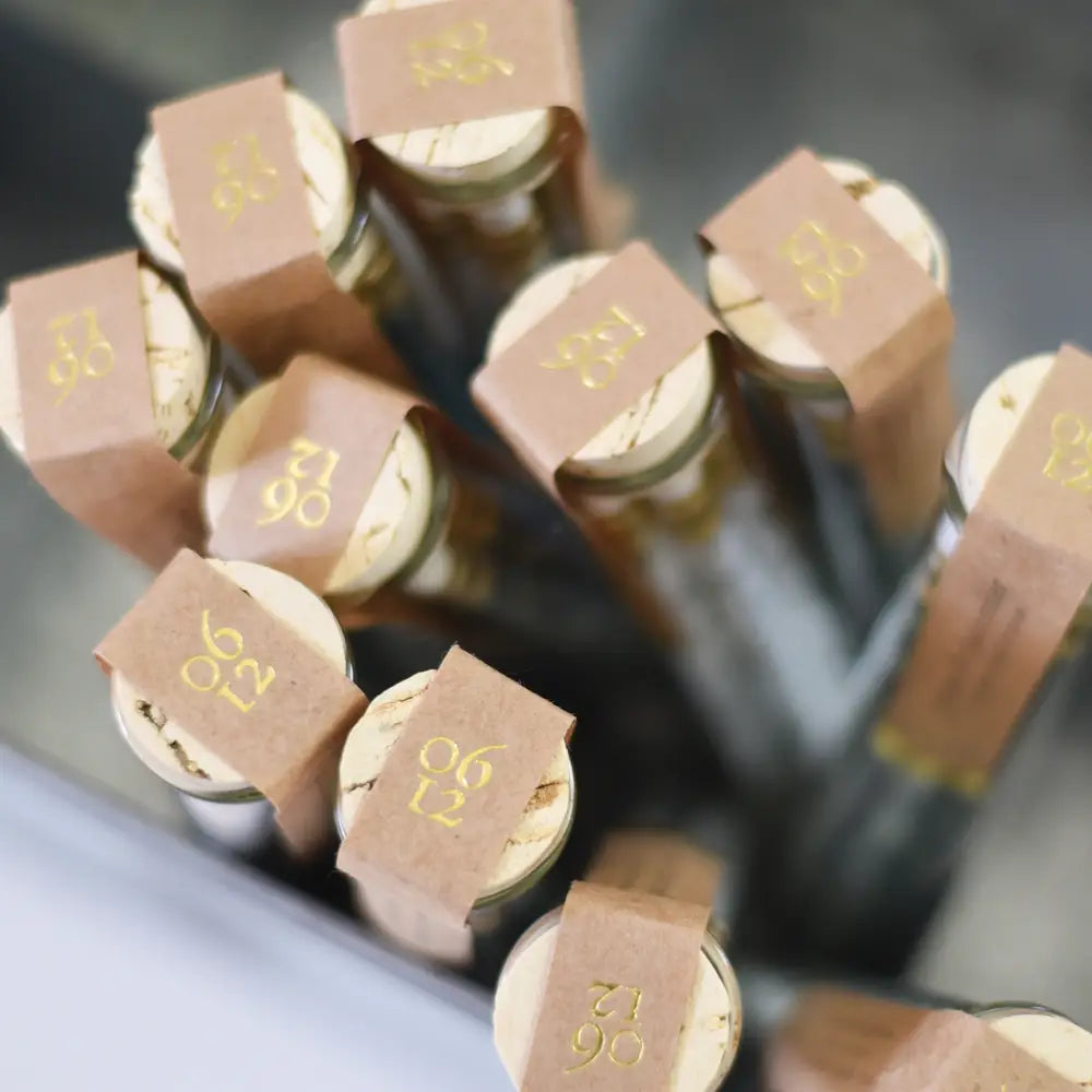 Pencil Terrarium, Set of 5 Pencils