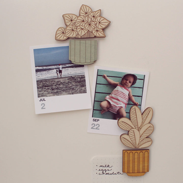 Polka Dot Begonia Wood House Plant Magnets Plant Lover Gift