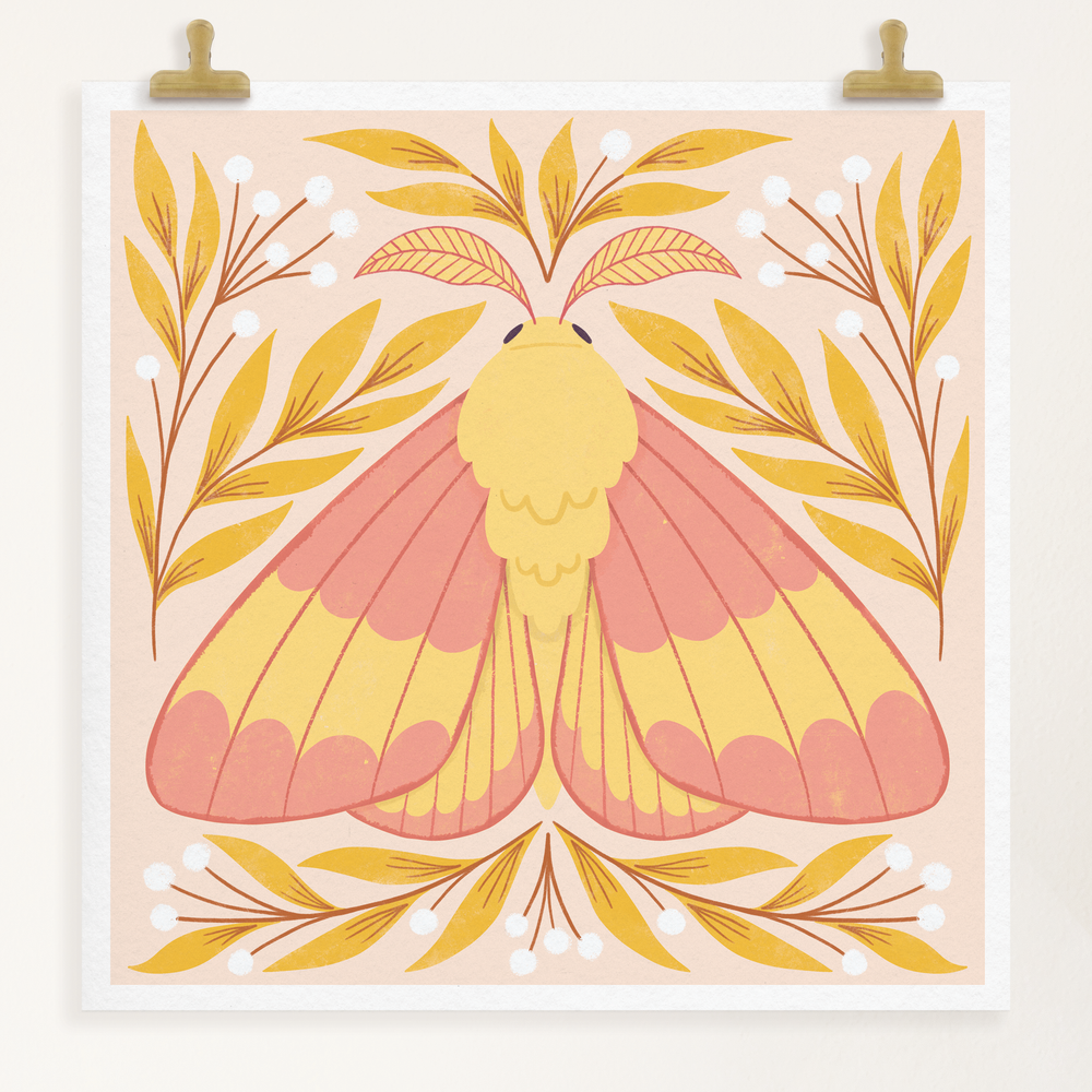 Rosy Maple Moth Art Print, 8.5 x 8.5 Nature Lover