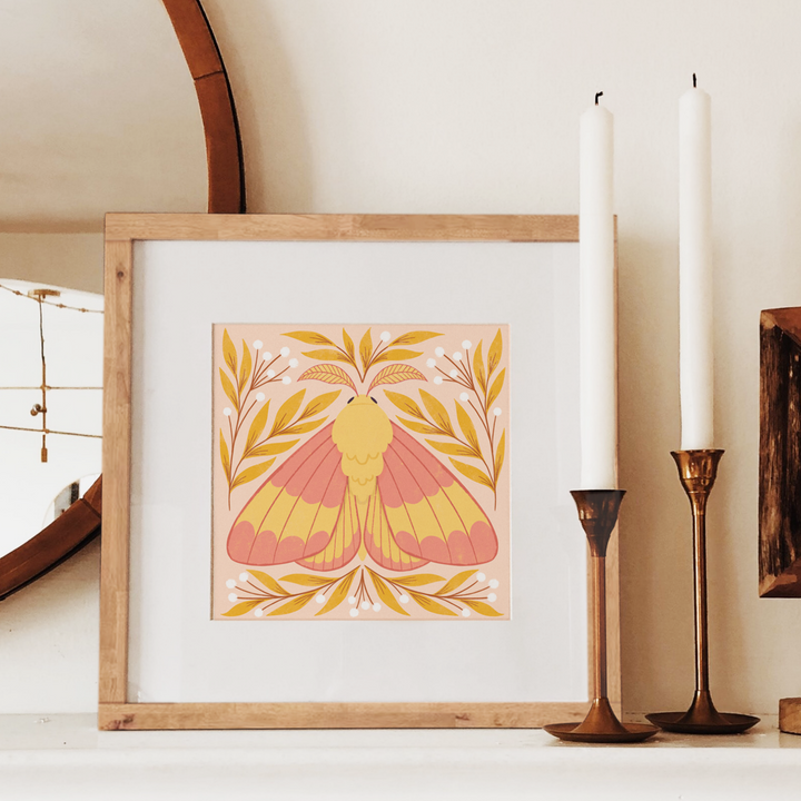 Rosy Maple Moth Art Print, 8.5 x 8.5 Nature Lover