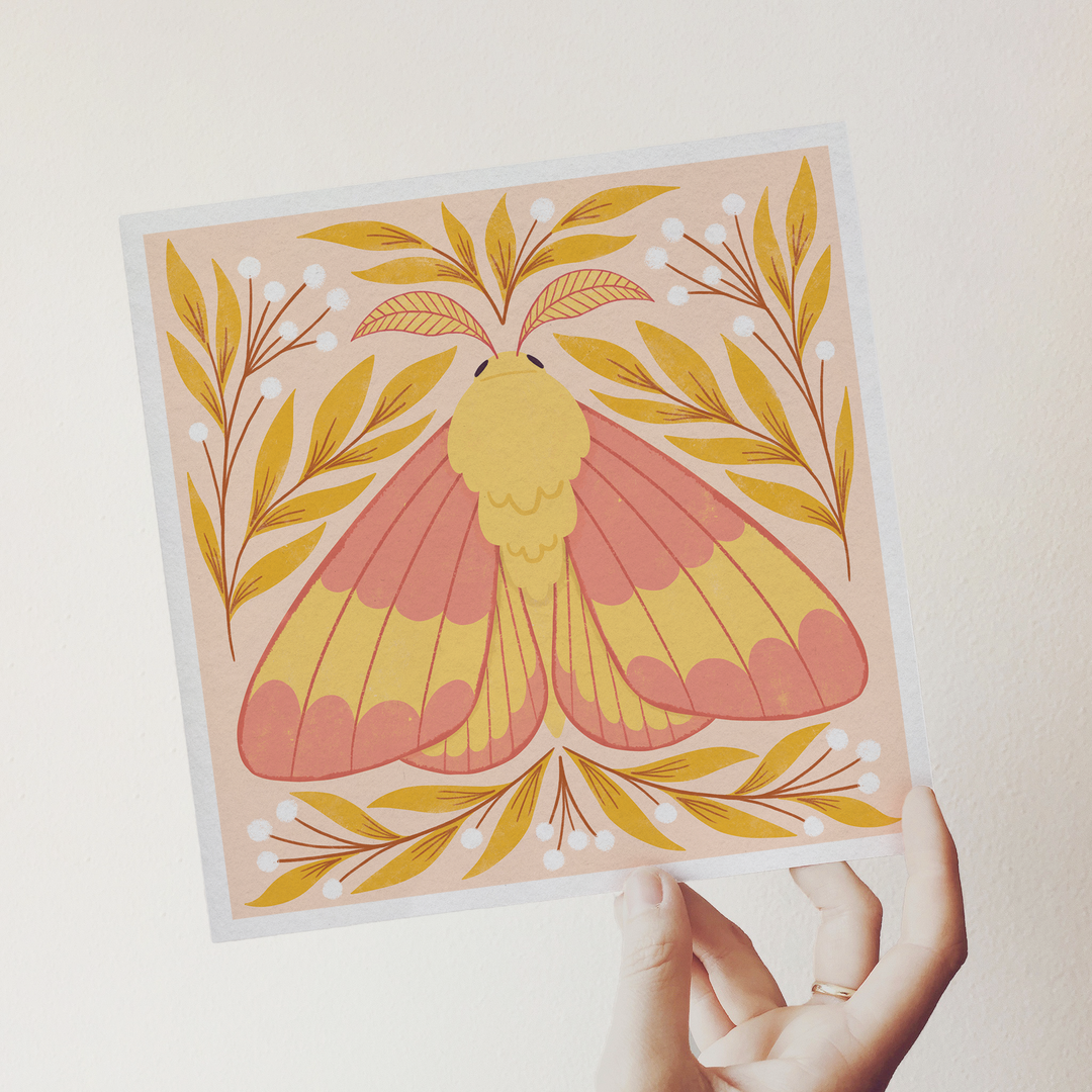 Rosy Maple Moth Art Print, 8.5 x 8.5 Nature Lover