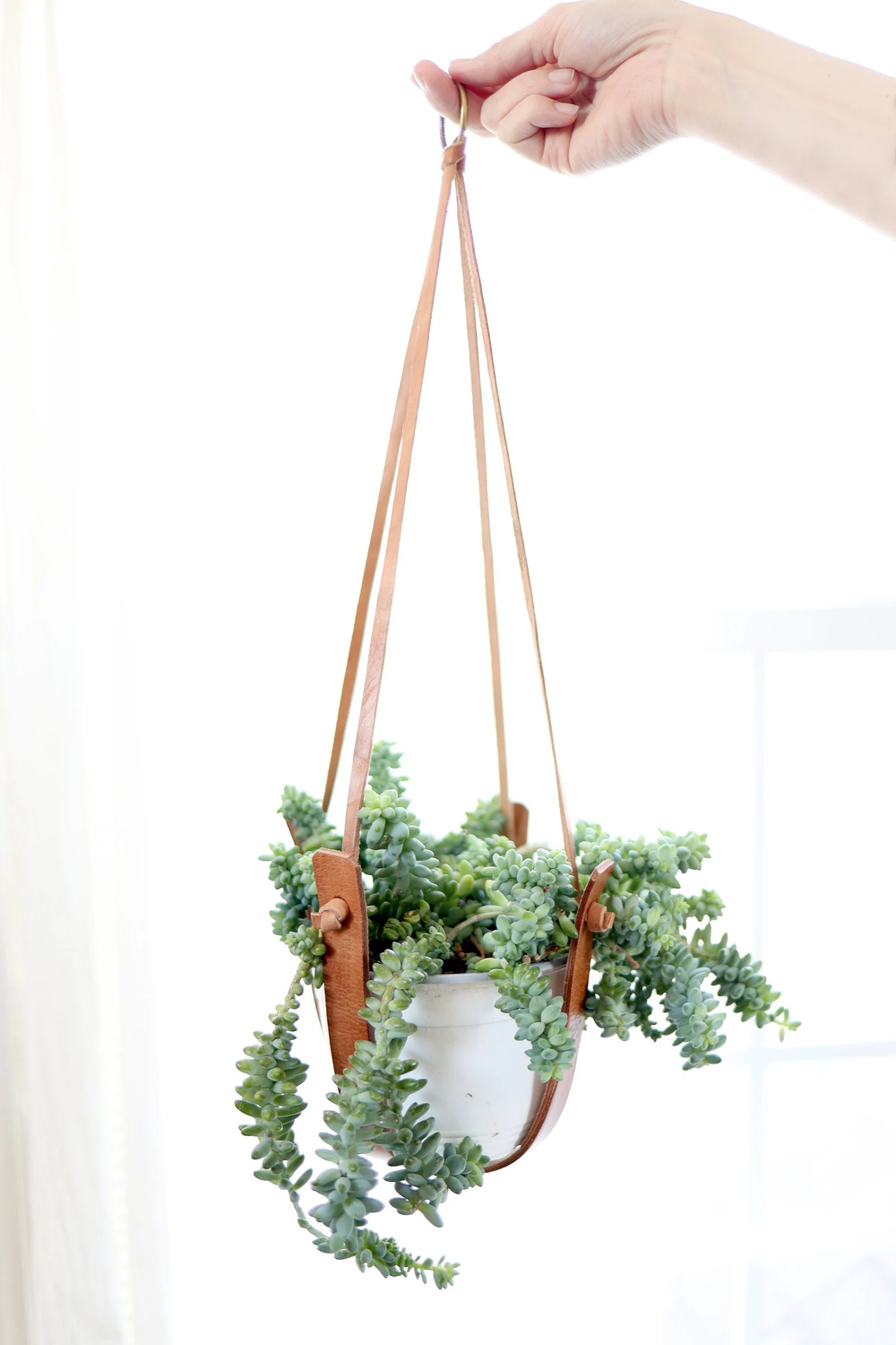 Small Flourish Leather Plant Hanger