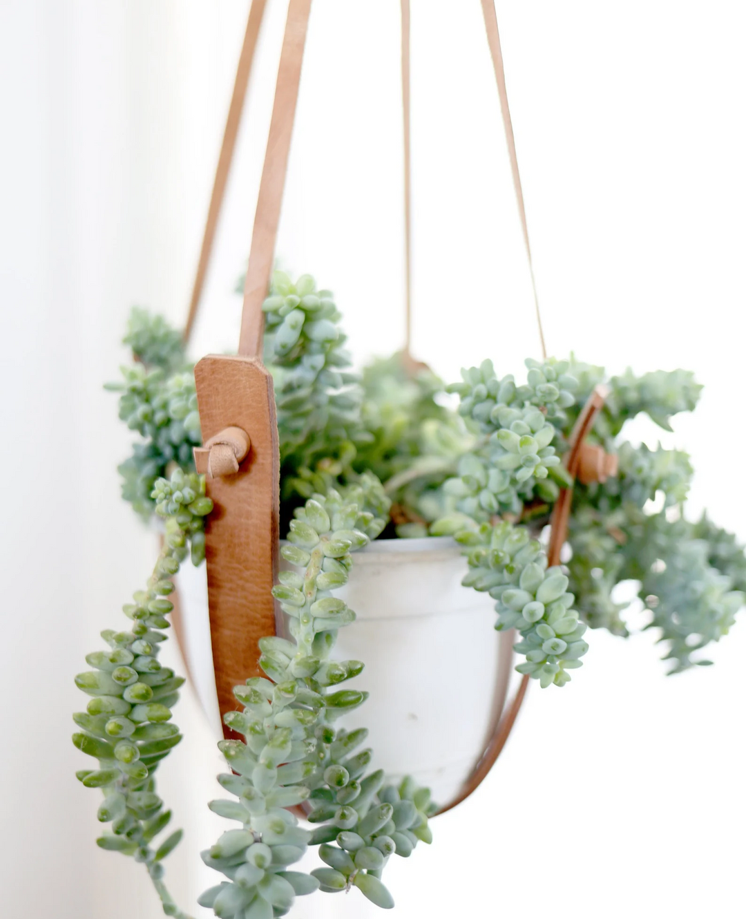 Small Flourish Leather Plant Hanger