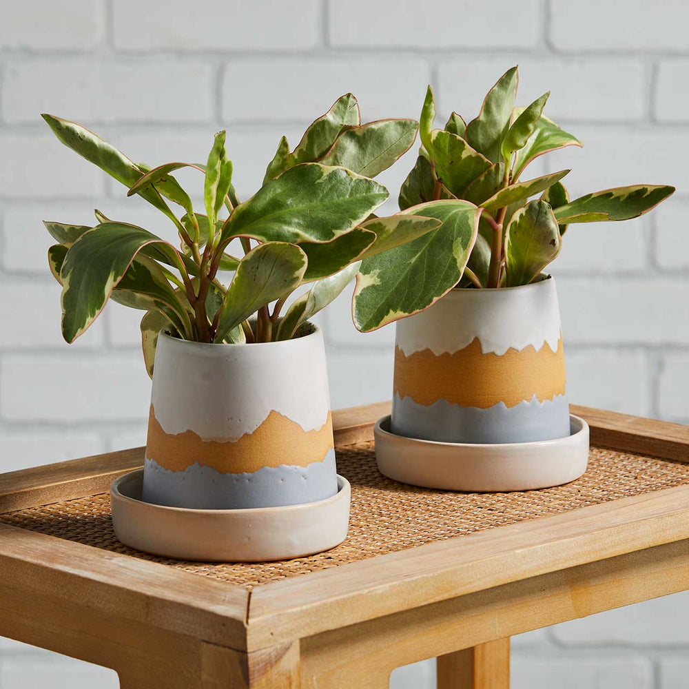 Smoky Mountain Pass Planters - Set of 2