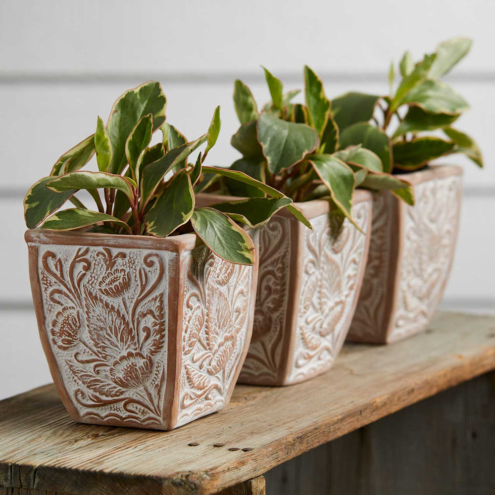 Solstice Blooms Terracotta Planters - Set of 3
