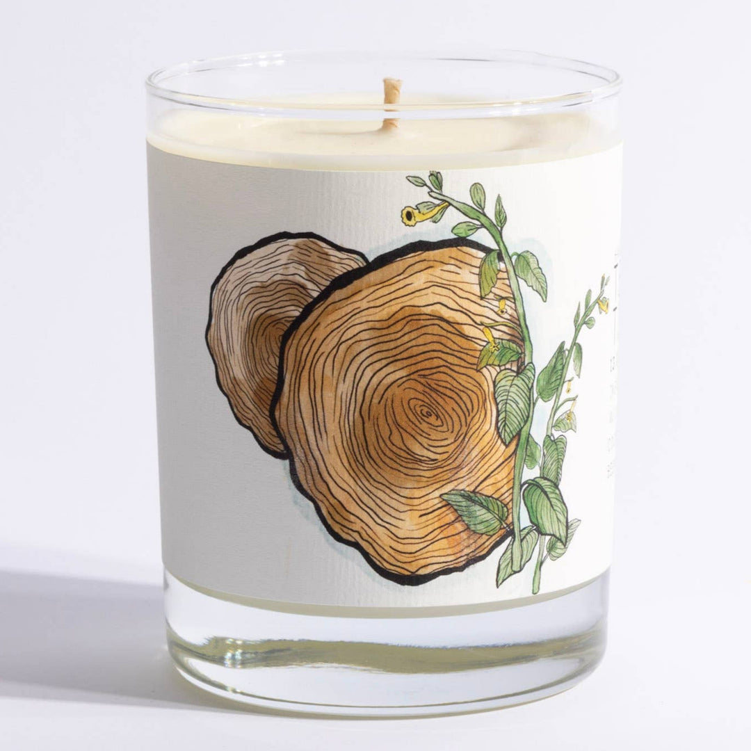 Teakwood Tobacco Candle by Just Bee 