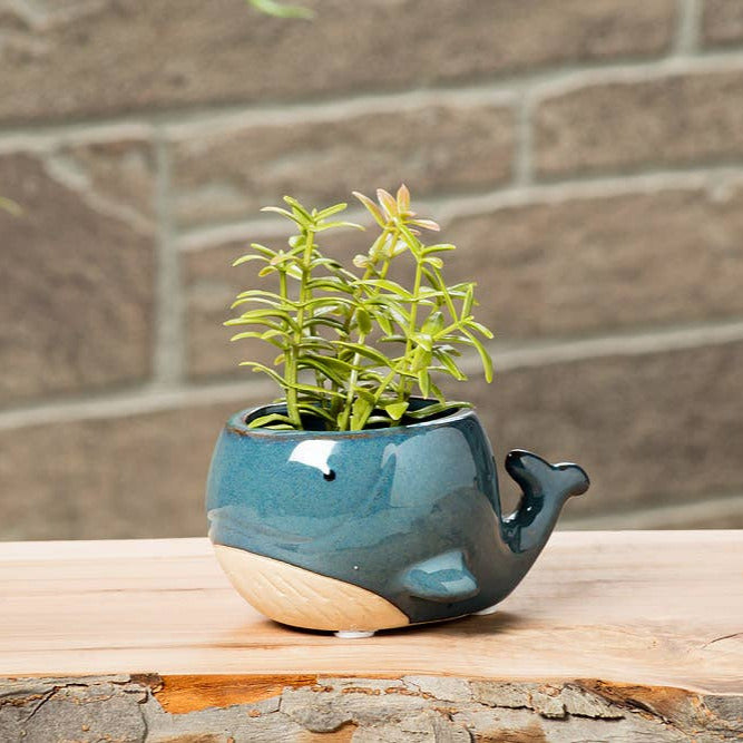 Tiny Blue Whale Planter home decor
