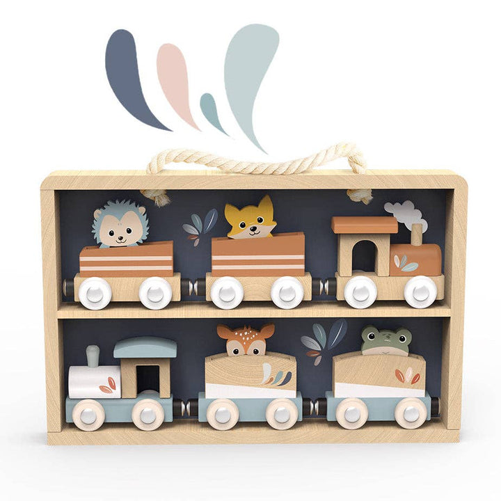 Train Set Display Case