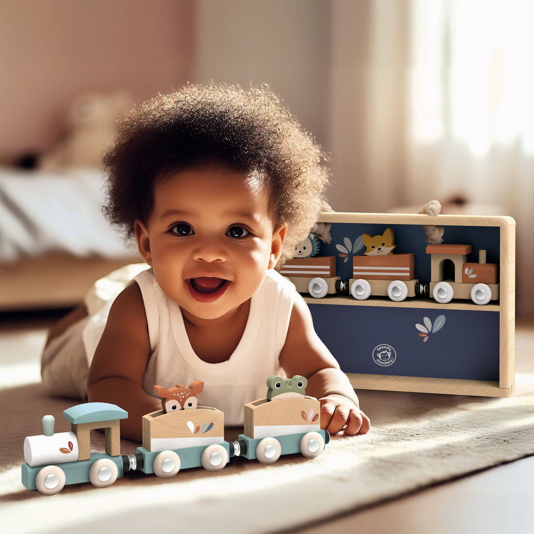 Train Set Display Case