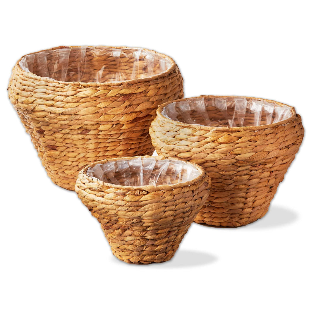 Westport Hyacinth Planters, Set of 3