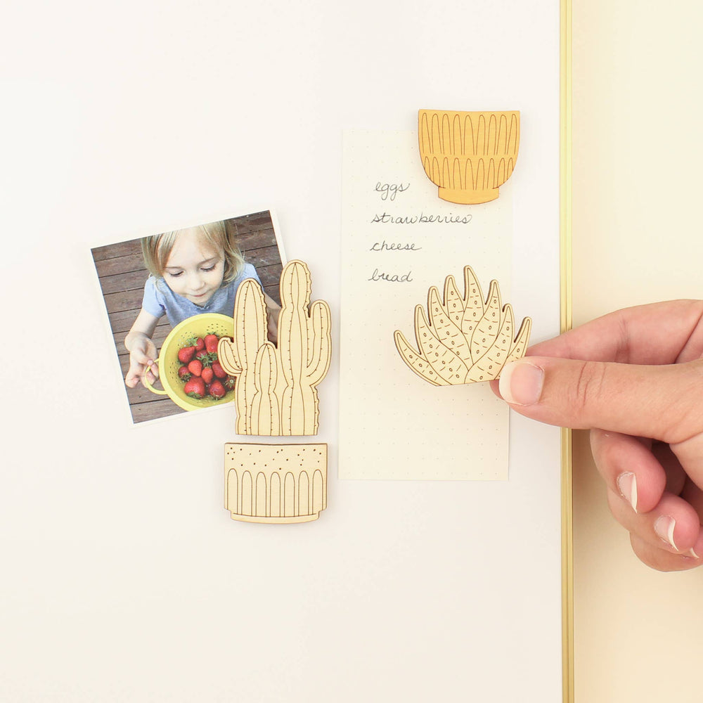 Zebra Plant Wood House Plant Magnets Plant Lover Gift